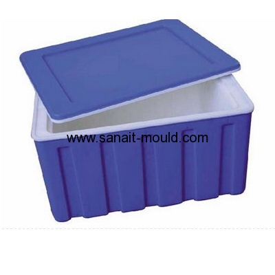 high quality plastic injection transport box moulds p15080301