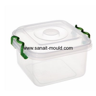 plastic injection transparent storage box with lid molds p15091401