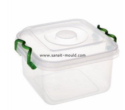 plastic injection transparent storage box with lid molds p15030503