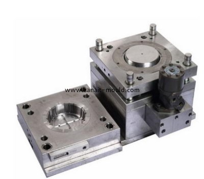 professional plastic injection molds m15032501