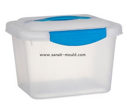 Custom transparent plastic injection storage box with lid molding p15040202